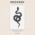 Geometric Snake