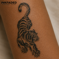 Tiger Claw