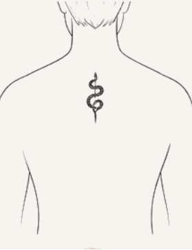 Back
