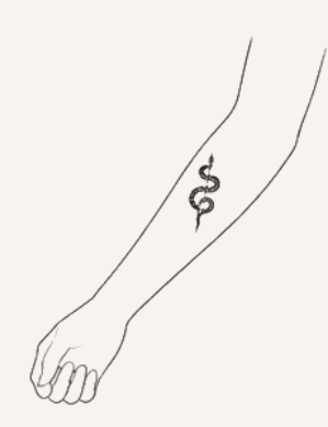 Forearm