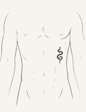 Ribs